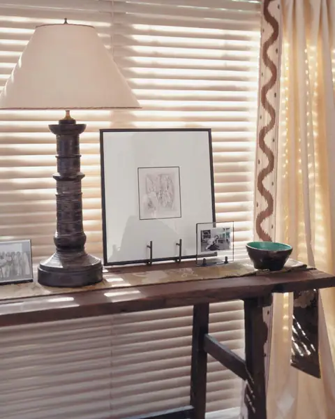 Mini Blinds photo 5 of 20